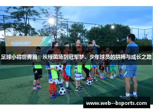 足球小将世青篇：从绿茵场到冠军梦，少年球员的拼搏与成长之路